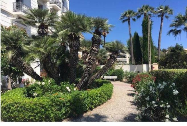 Winter Palace Cannes Exterior foto
